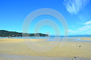 Wainui Bay, Golden Bay, New Zealand