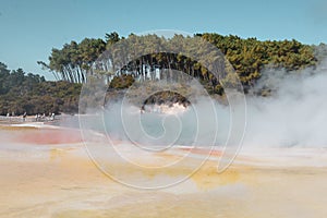 Waiotapu, an active geothermal area at the southern end of the Okataina photo