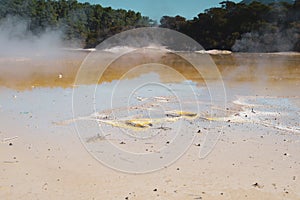 Waiotapu, an active geothermal area at the southern end of the Okataina photo