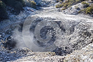 Waiotapu, an active geothermal area at the southern end of the Okataina photo