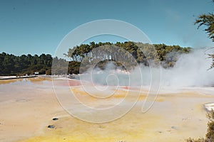 Waiotapu, an active geothermal area at the southern end of the Okataina photo