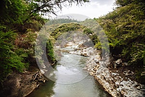 Waiotapu Stream Hot Springs in Rotorua, Waikato New Zealand