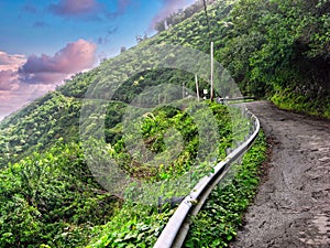 Waipio Valley Road, the steepest road in the USA leading down to Punaluu Black Sand Beach in Hawaii