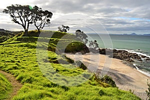 Waipu beach, Northland, New Zealand