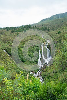 Waipungu waterfall just off Napier Taupo highway