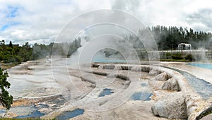 Wairakei termal pools and terraces near Taupo photo