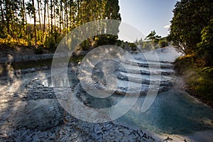 Wairakei terraces -  Volcanic heated water rises in plumes on New Zealand`s North Island