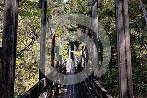 Wairoa Stream Suspension Bridge, Hunua Ranges Regional Park