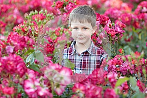 Waist up portrait of a young Caucasian boy in red roses bushes