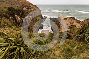 Waitakere Ranges coastline