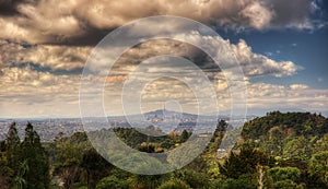 Waitakere Ranges Regional Park New Zealand