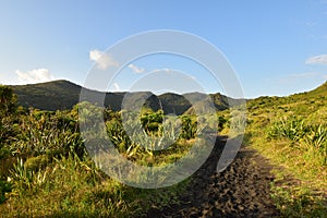 Waitakere ranges from Whatipu area