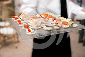 Waiter carrying appetizers and finger food