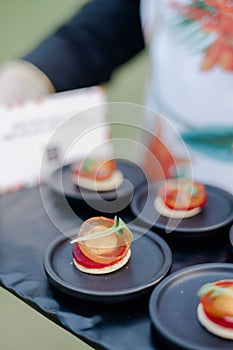 Waiter holding a tray of assorted festive appetizers for the guests of the event