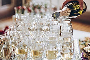 Waiter pouring champagne in stylish glasses at luxury wedding re