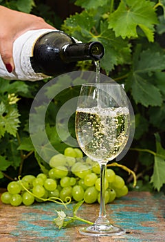 Waiter pouring a glass of ice cold white wine, outdoor terrace,