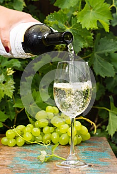 Waiter pouring a glass of ice cold white wine, outdoor terrace,