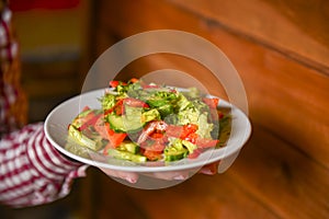 Waiter serving vegetable salad with juicy tomatoes, lettuce, radish, cucumber. Restaurant service.