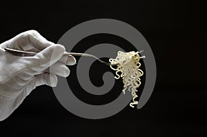Waiter wearing white gloves holding silver fork and fresh cooked noodles on it, black background