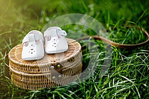 Waiting of baby. Pregnant woman. Happy family. baby`s bootees wi