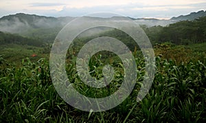 Morning behind the hill