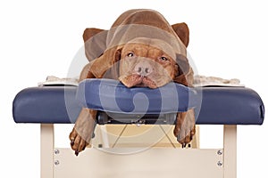 Waiting for my massage