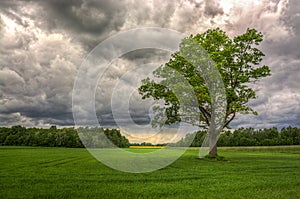 Waiting for the rain