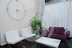 Purple sofa and white armchair. Iron and wooden clocks . Interior design . Bottom and white curtain . Entrance to the beauty salon