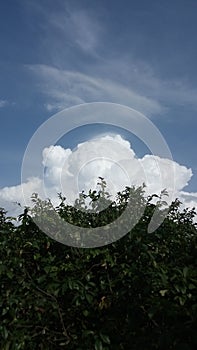 Waiting for thunderstorms, cumulus in the skyt