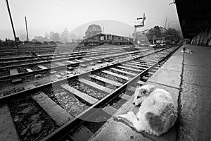 Waiting for the train. Loneliness of the station.