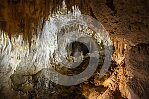 Waitomo glowworm caves, New Zealand