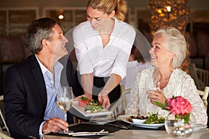 Waitress Serving Food To Senior Couple In Restaurant