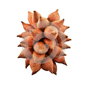Waive, Salak or Sala Fruit of Thailand isolated on white background