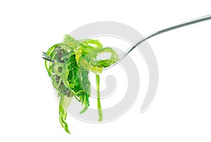 Wakame edible seaweed on a fork