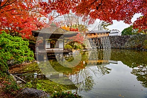 Wakayama castle in the autumn park, Momijidani Teien Garden in Wakayama castle photo