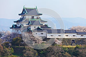 Wakayama Castle in Japan