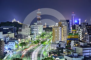 Wakayama City, Japan