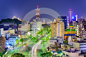 Wakayama City