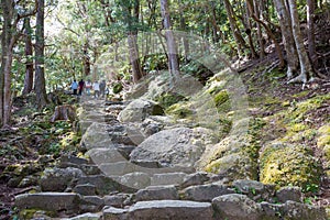 Approach to Kamikura Shrine in Shingu, Wakayama, Japan. It is part of the photo