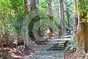 Daimonzaka slope on Kumano Kodo Nakahechi Route in Nachikatsuura, Wakayama, Japan. It is part of