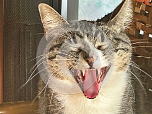 Wake Up, it's time to eat and relax