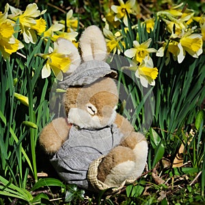 Wake Up It's Springtime