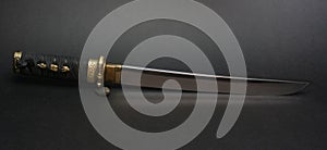 Wakizashi (all blade)