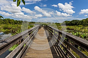 Wakodahatchee Wetlands in Delray Beach