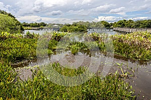 Wakodahatchee Wetlands in Delray Beach