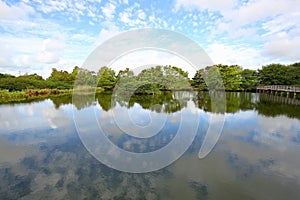 Wakodahatchee Wetlands Park, a birding location photo