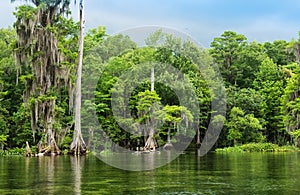 Wakulla Springs State Park and River