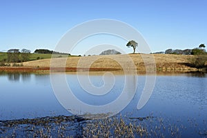 Waldegrave Pool