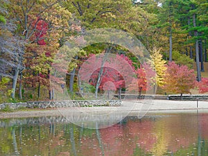 Walden Pond