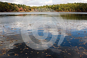 Walden Pond